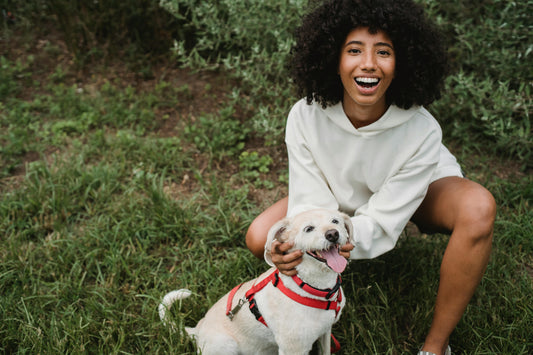 Pup Approved: Supplements You & Your Pets Will Love