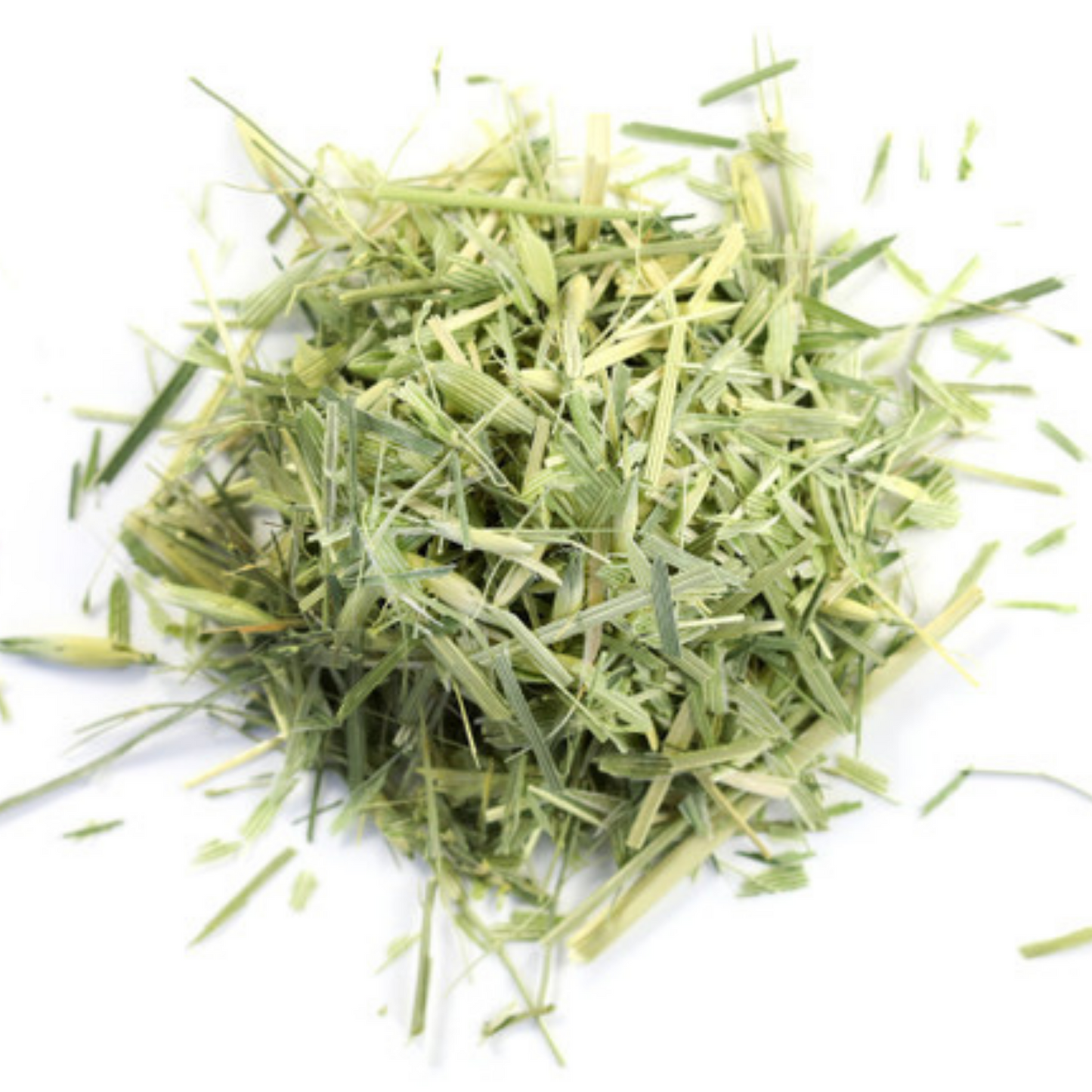 Avena sativa / Oat Straw