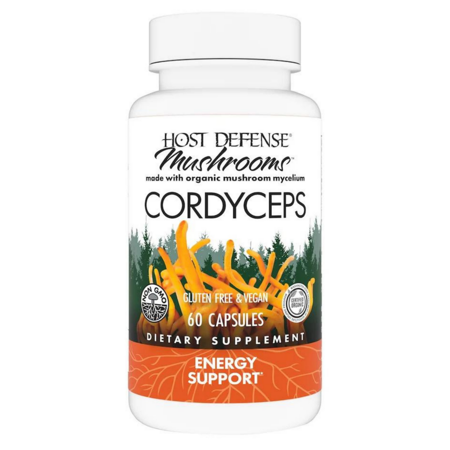 Cordyceps