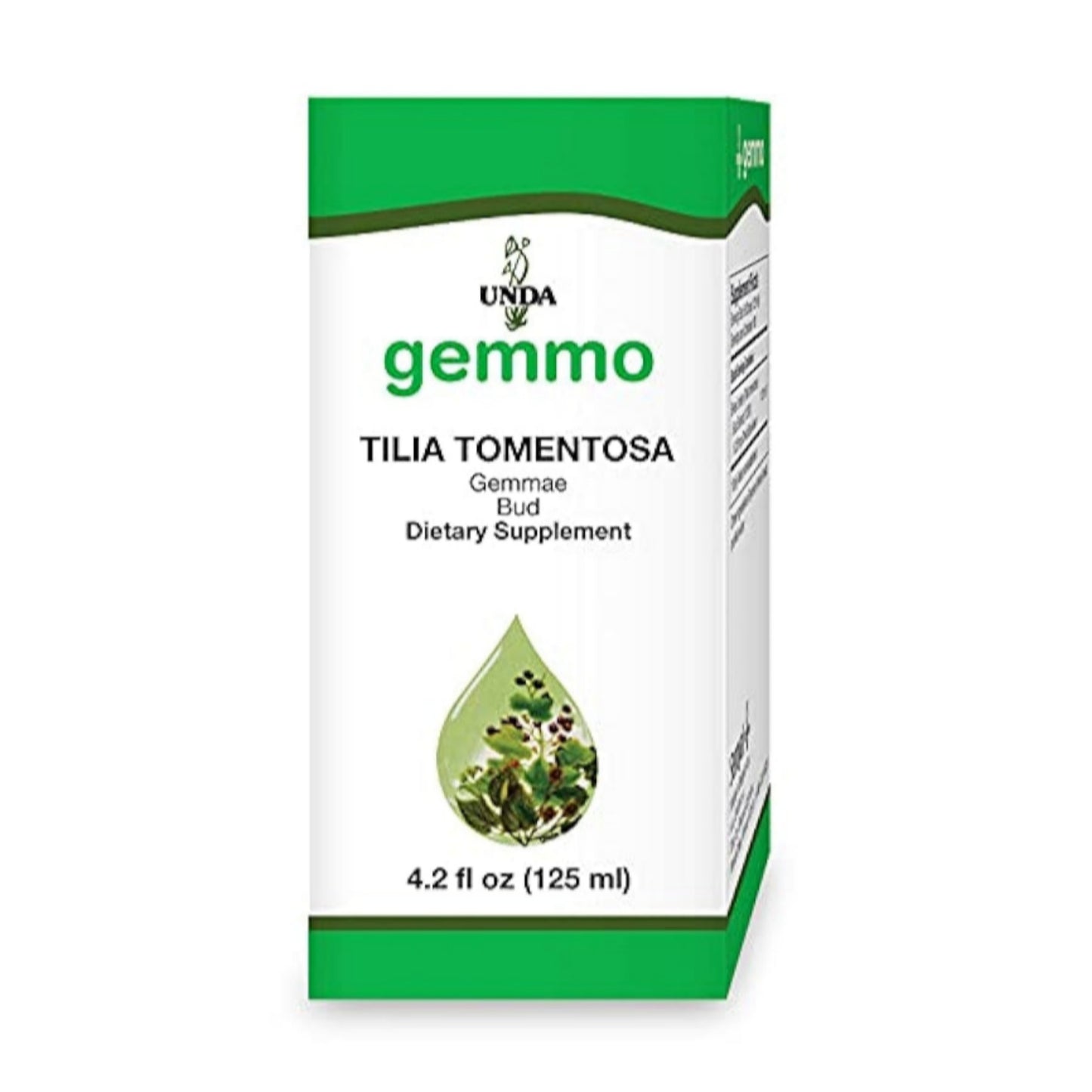Tilia Tomentosa Gemmo