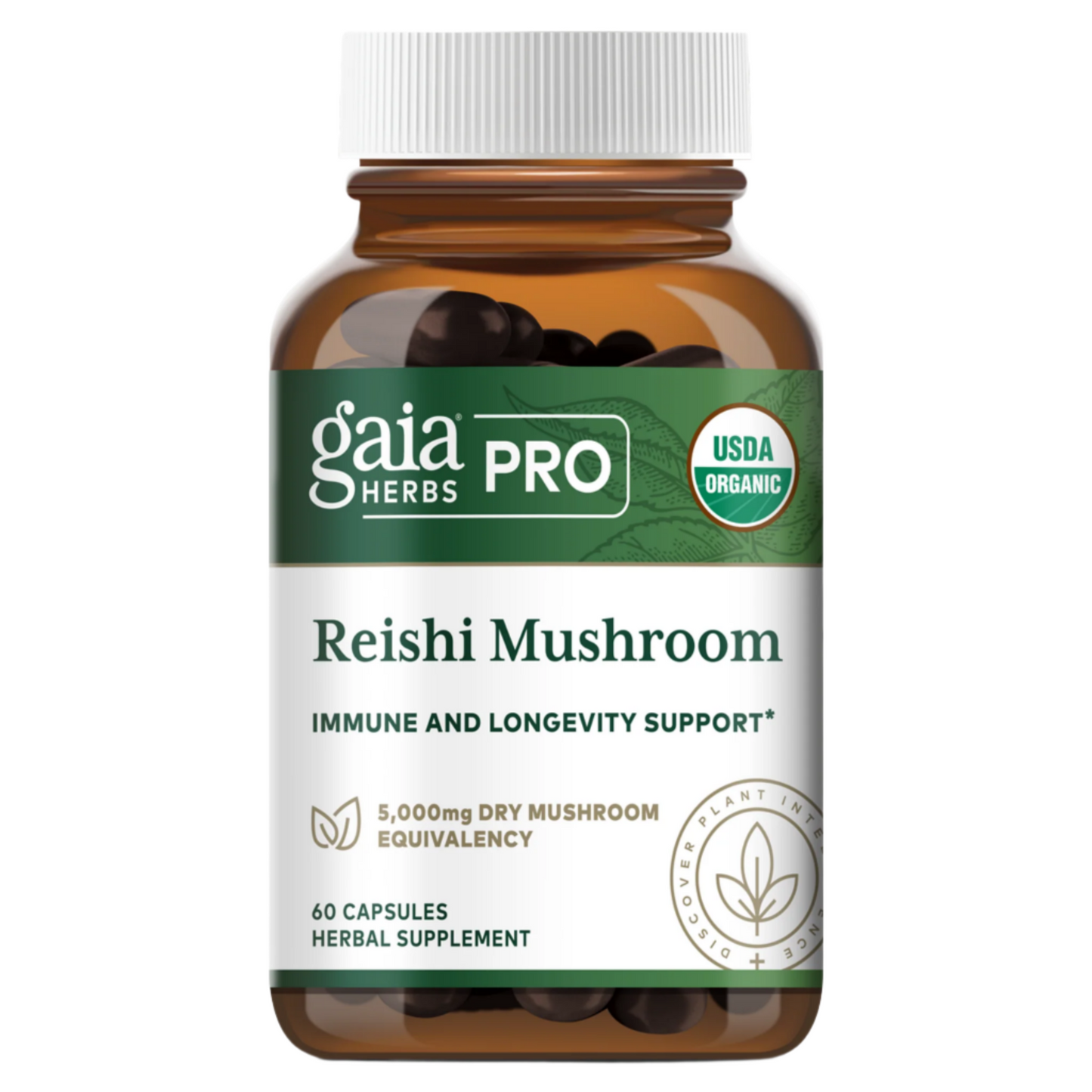 Reishi Mushroom