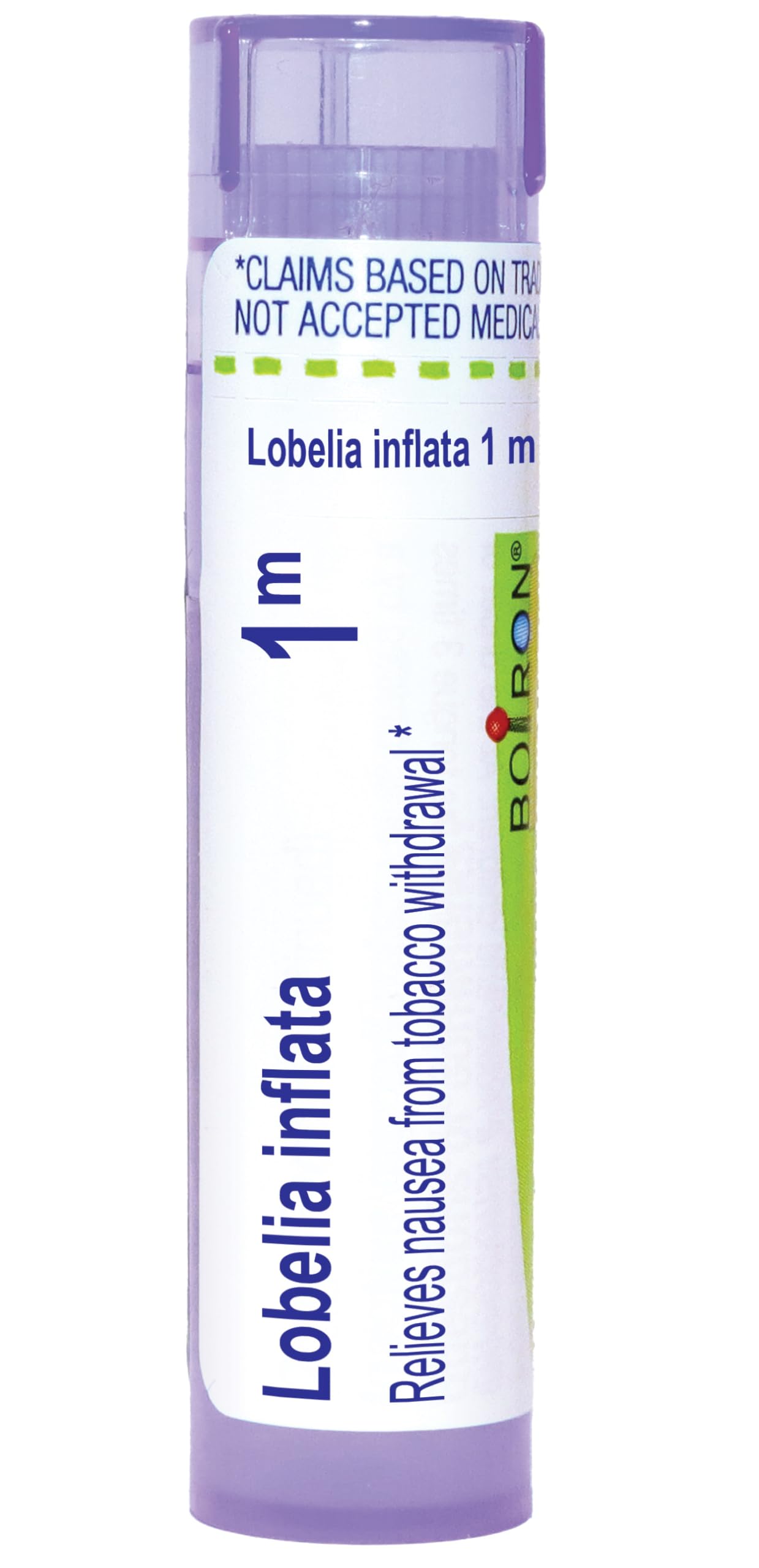 Lobelia Inflata 1m