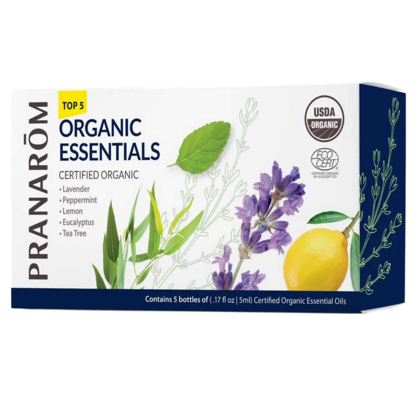 Top 5 Single Note Organic Essential Oil Kit
