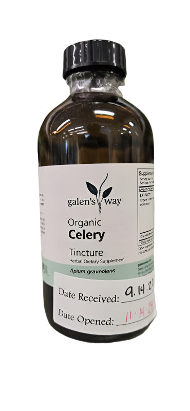Apium graveolens / Celery Seed (GW)