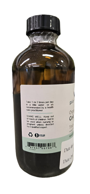 Apium graveolens / Celery Seed (GW)