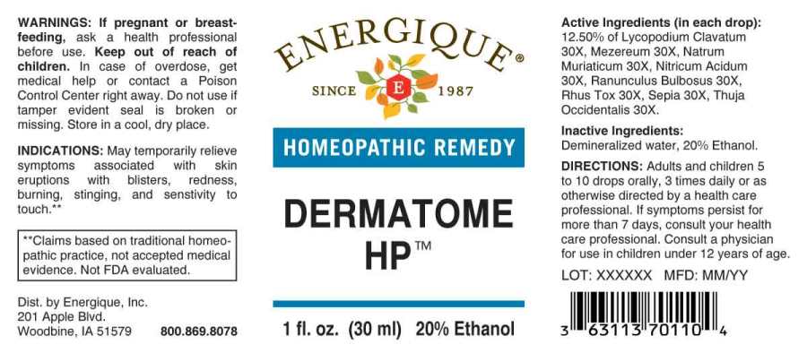 Dermatome HP