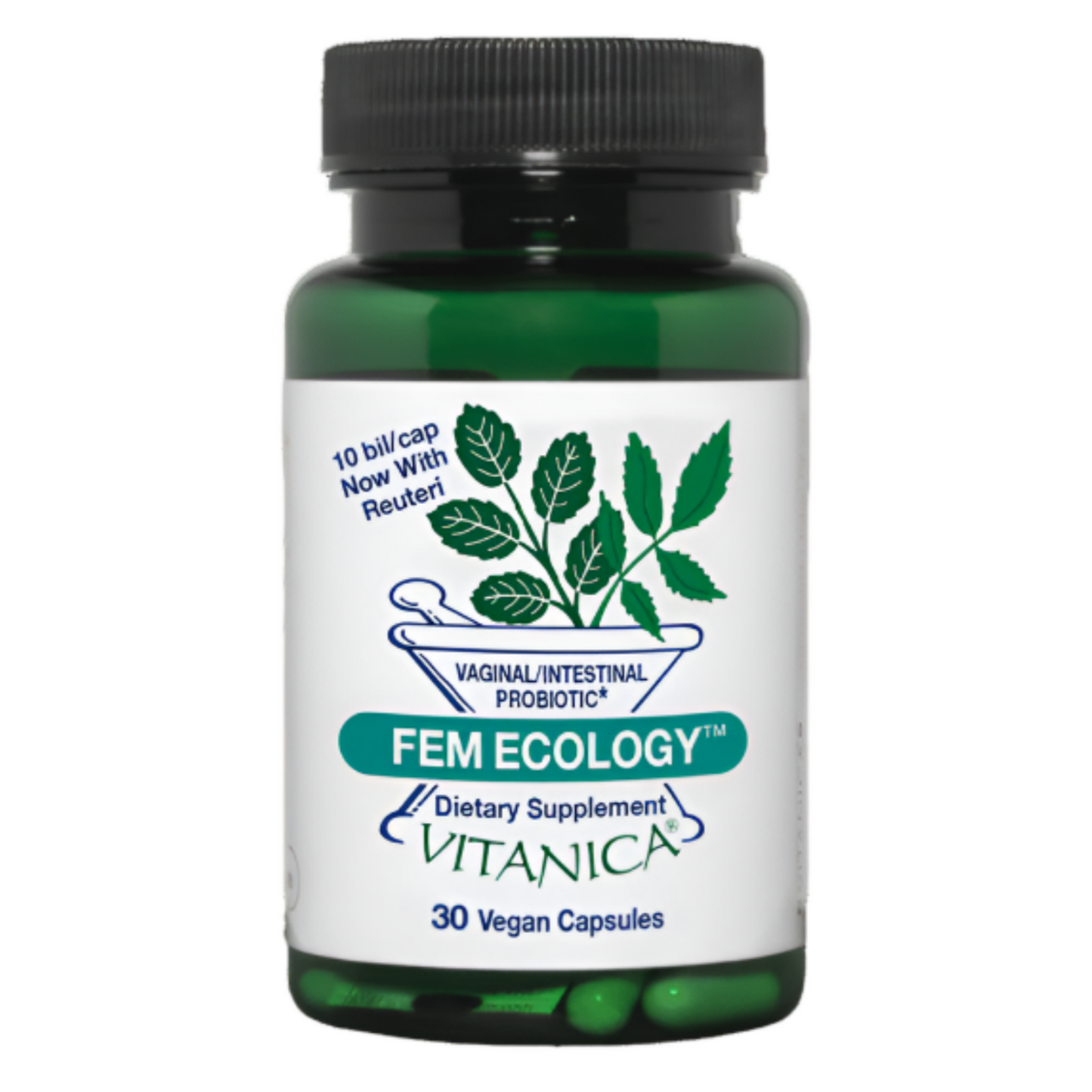 Fem Ecology