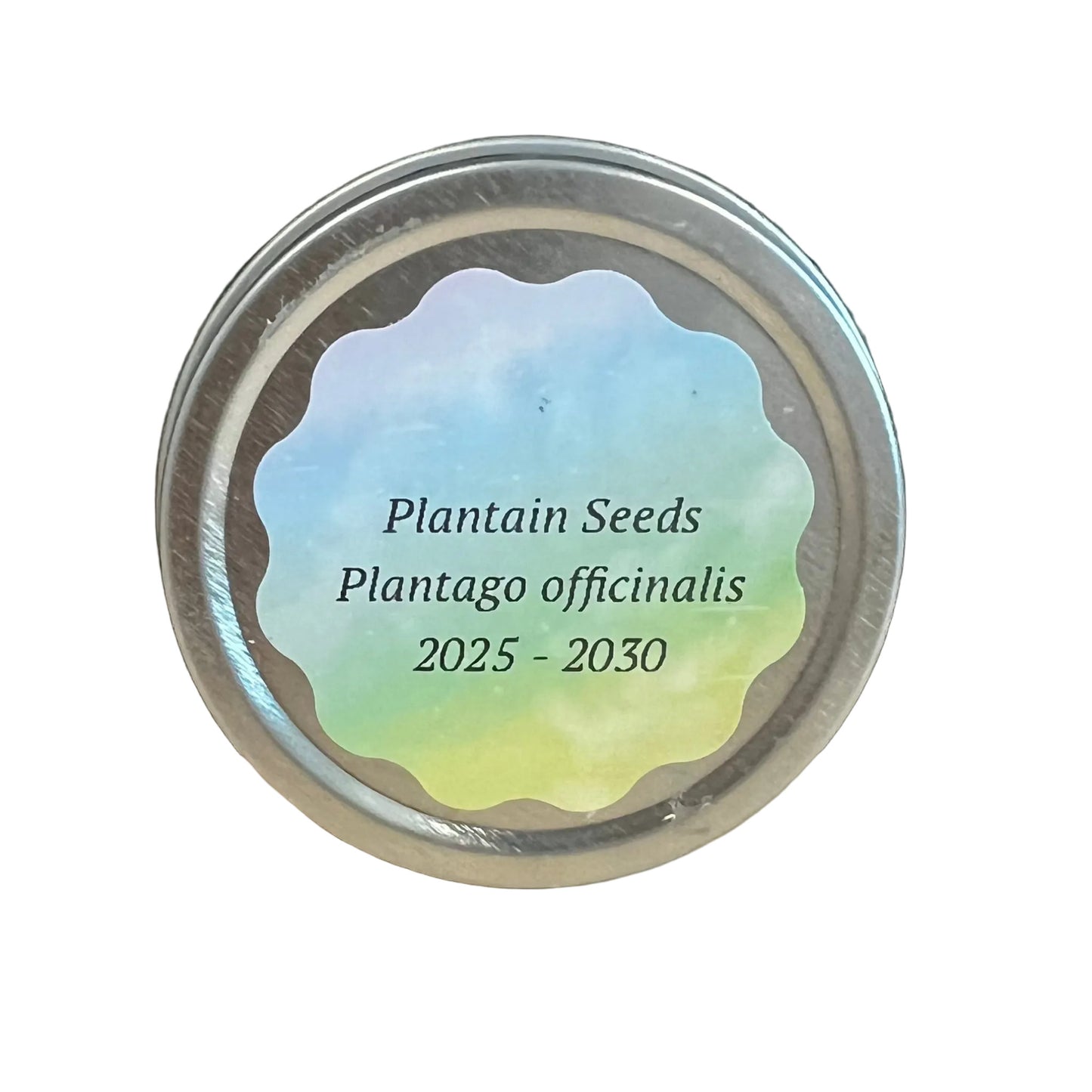 Sonoran University Garden Planting Seeds