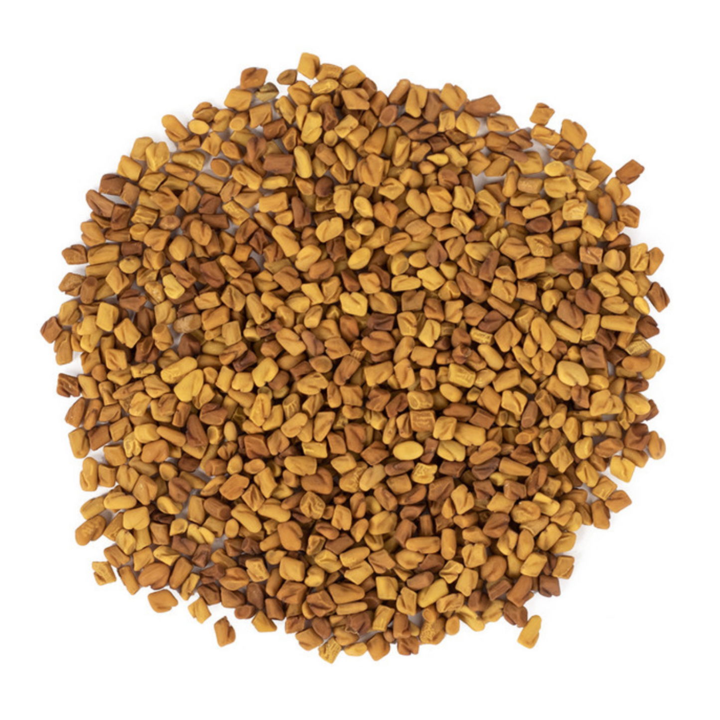 Trigonella foe. / Fenugreek Seeds