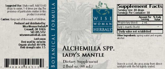 Alchemilla spp. / Lady's Mantle (WWH - discontinued)