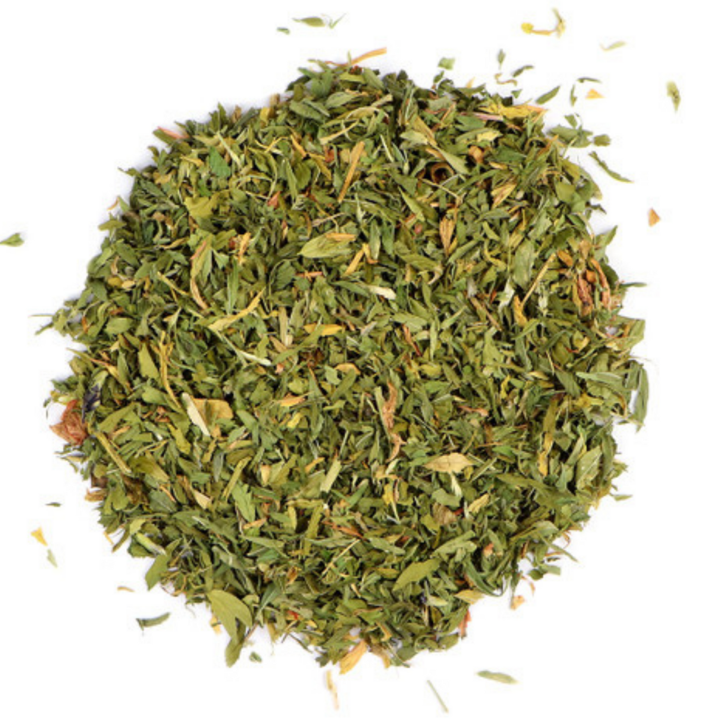 Medicago sativa / Alfalfa Leaf