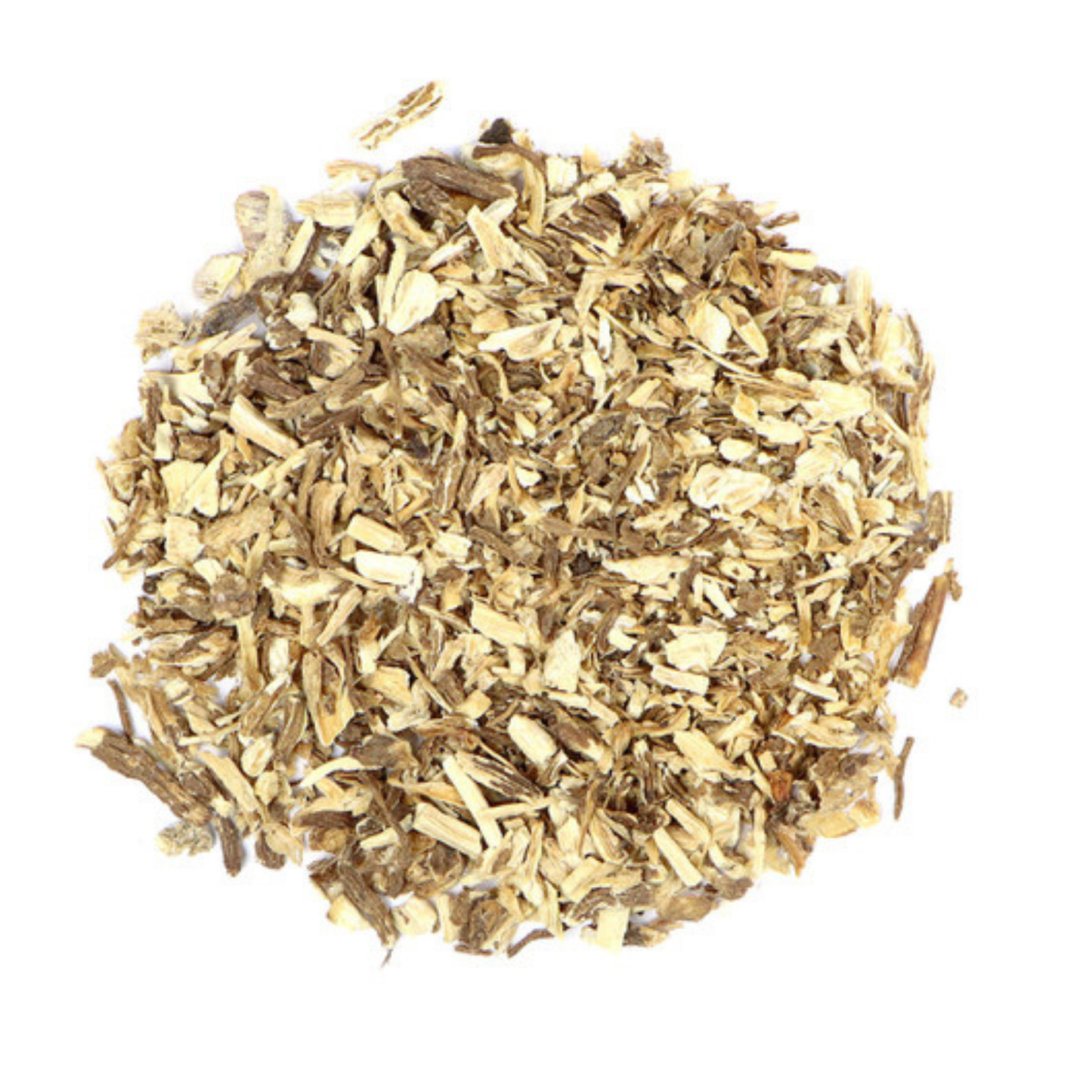 Angelica Archangelica Root