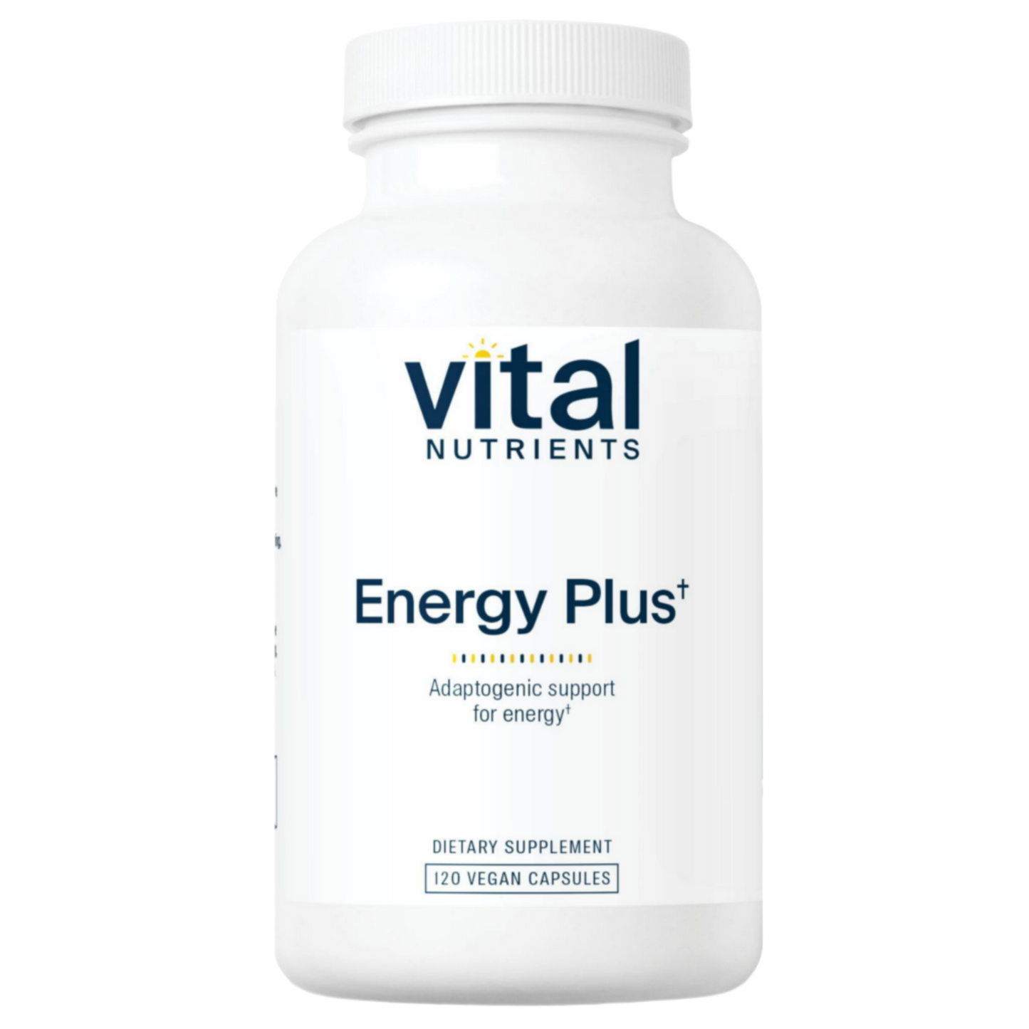 Energy Plus