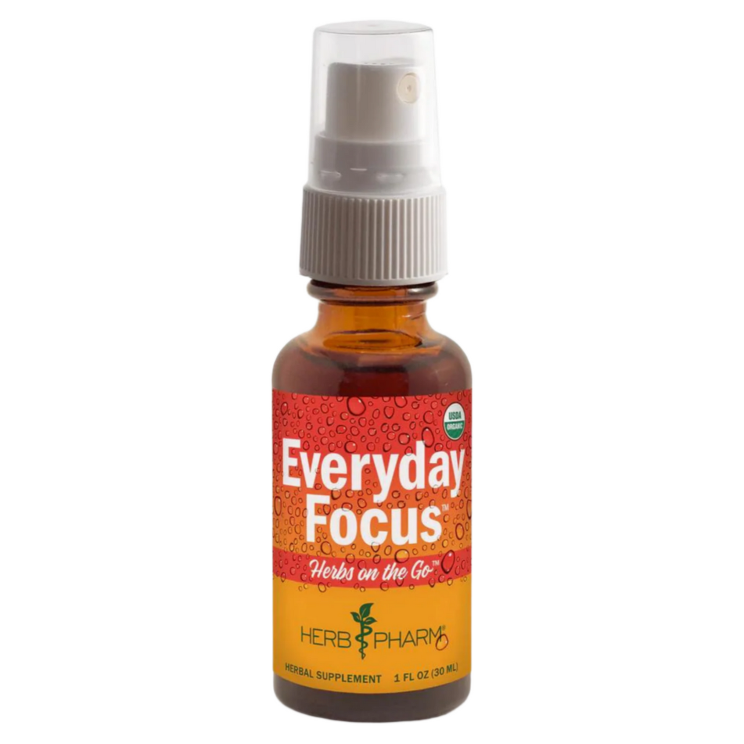 Herbs on the Go: Everyday Focus