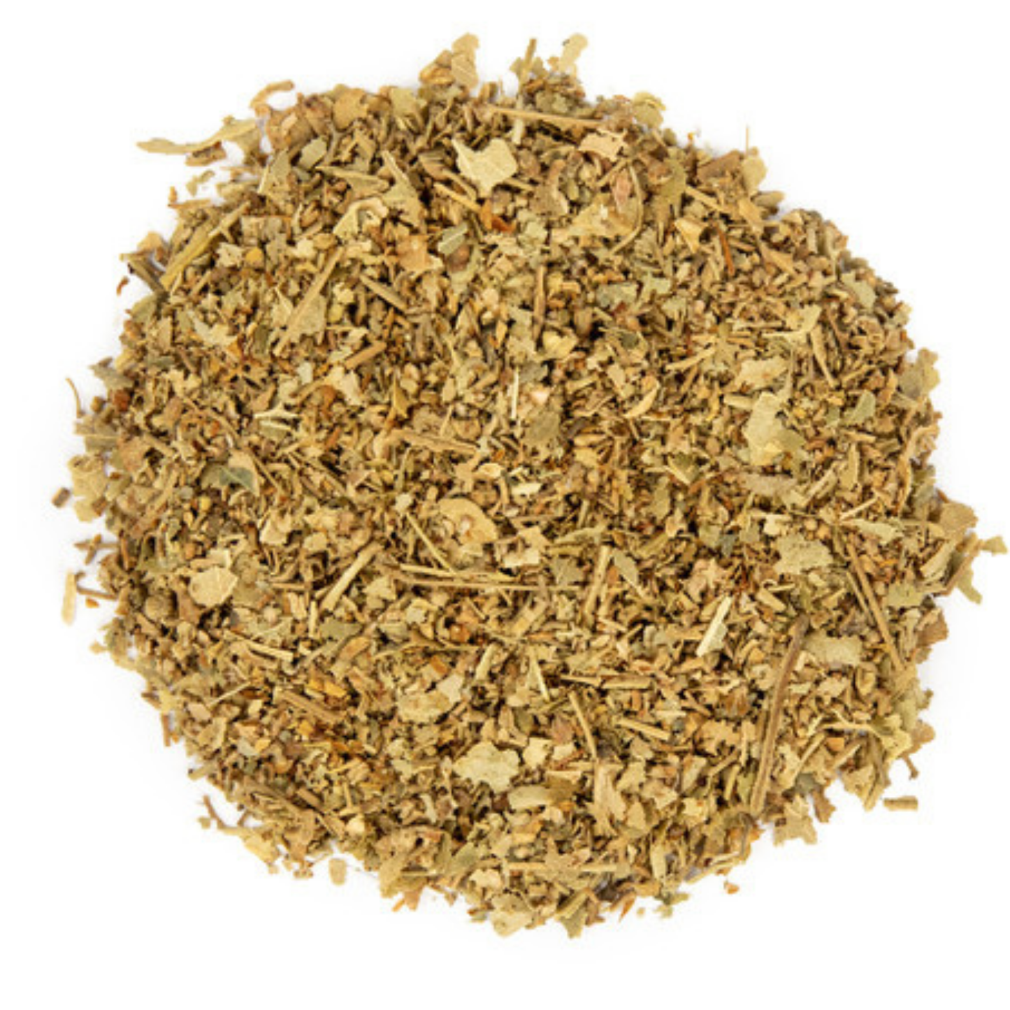 Tilia europa / Linden Leaf & Flower