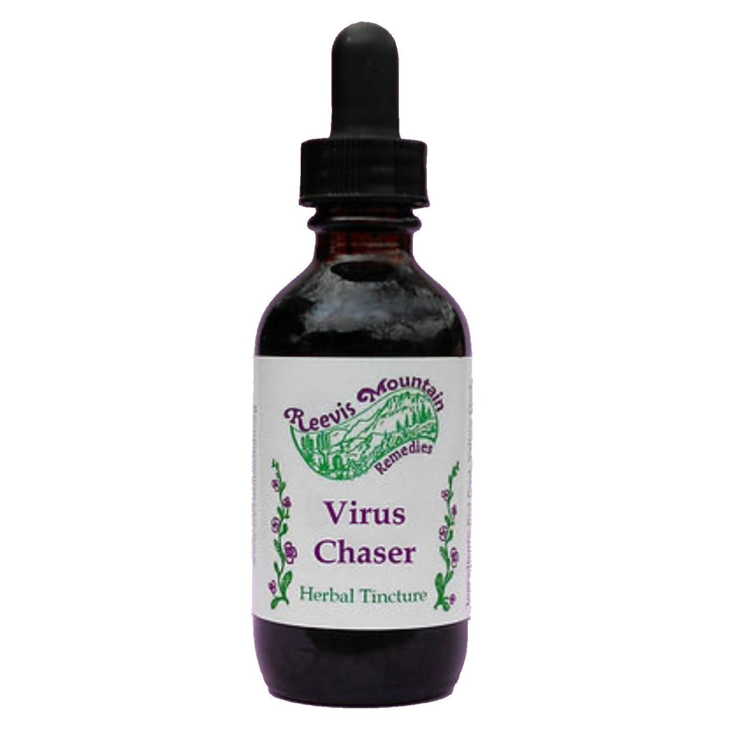 Virus Chaser
