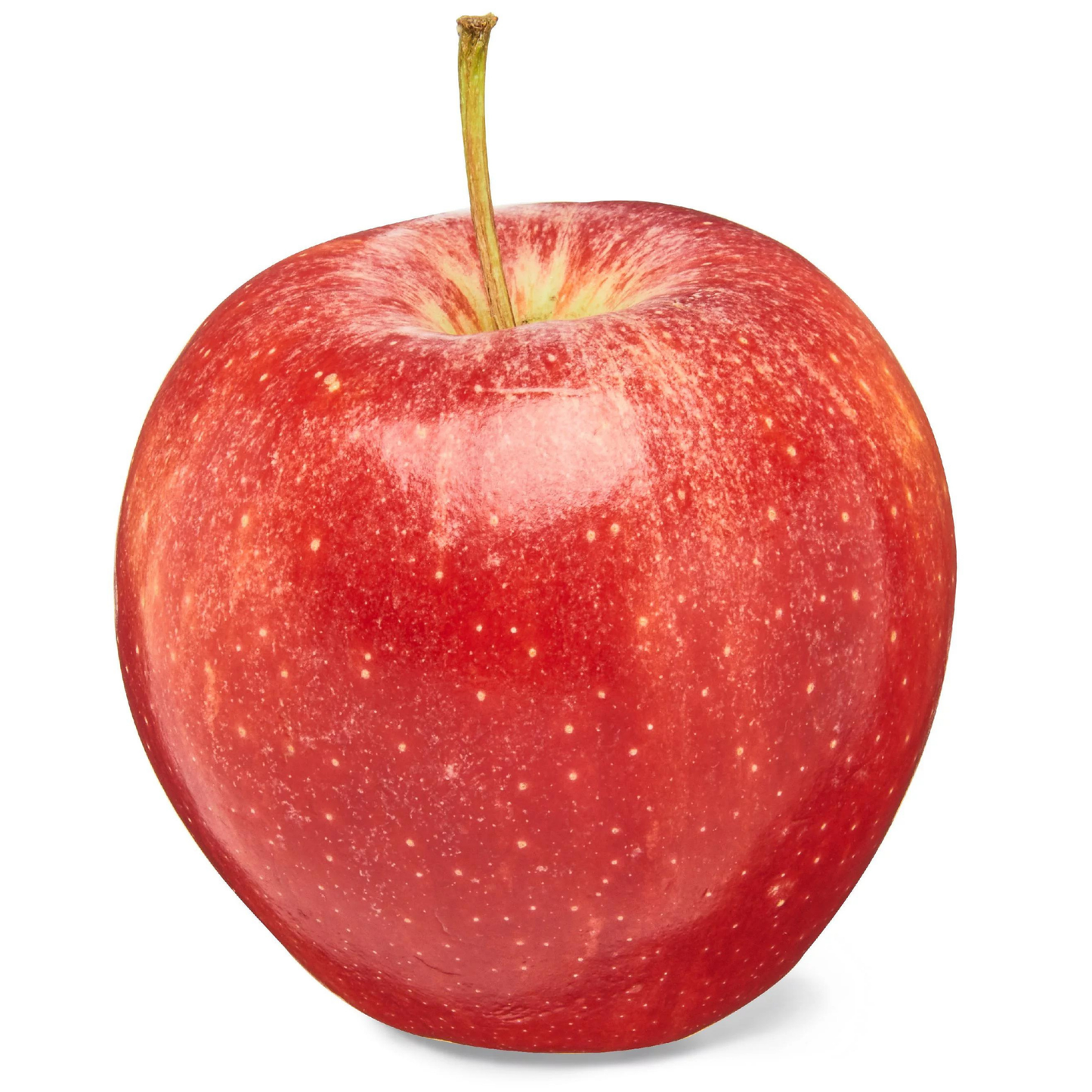 Organic Gala Apple