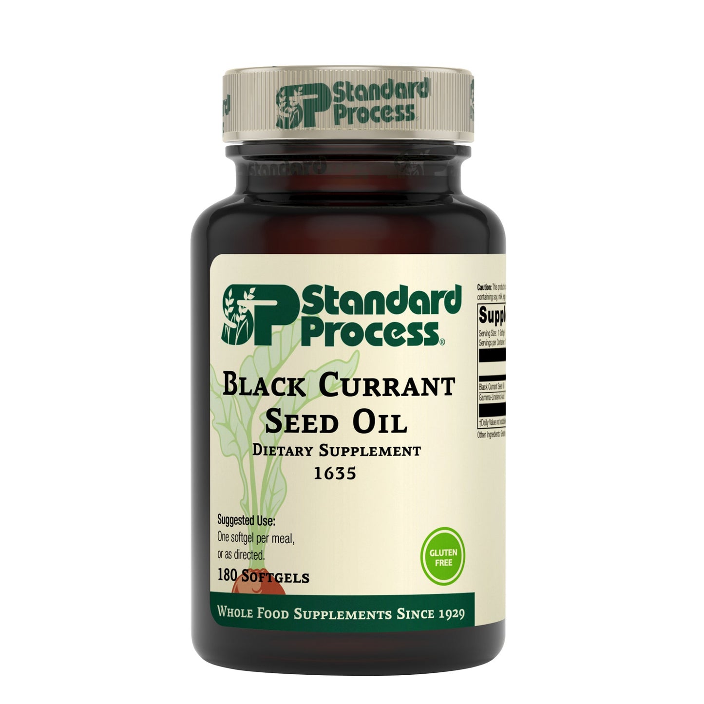 Black Currant Seed Oil