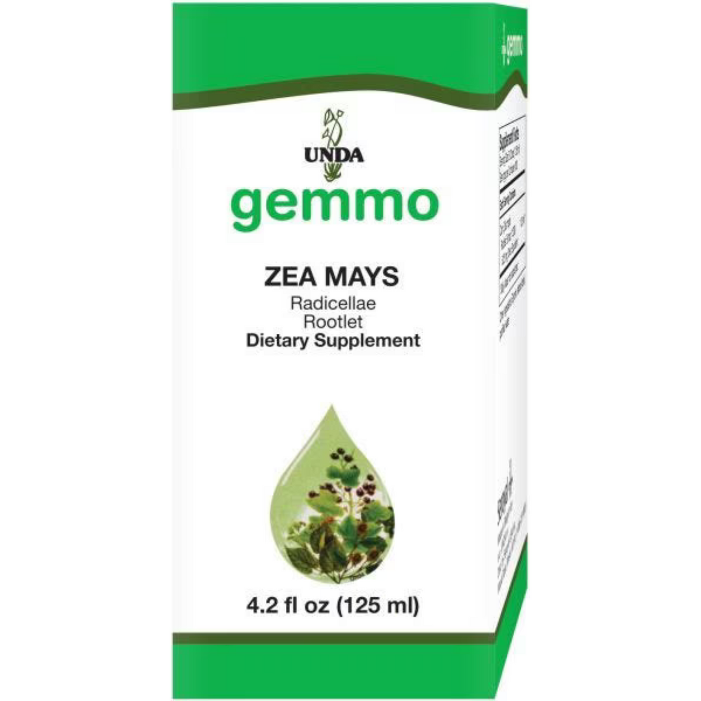 Zea Mays Gemmo