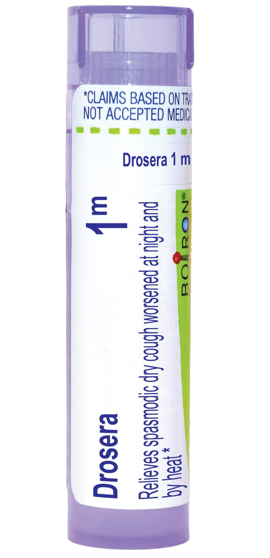 Drosera Rotundifolia 1m