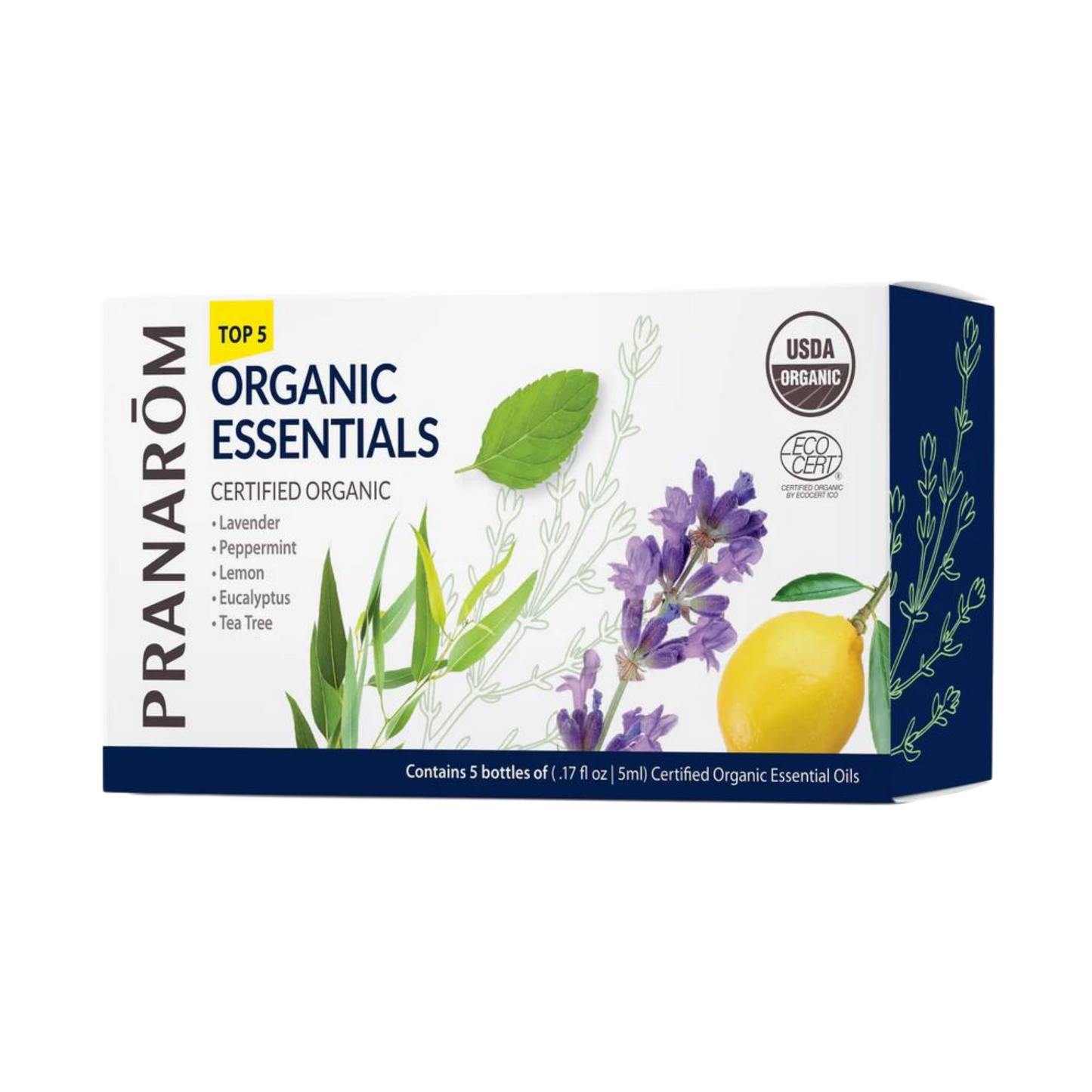 Top 5 Single Note Organic Essential Oil Kit