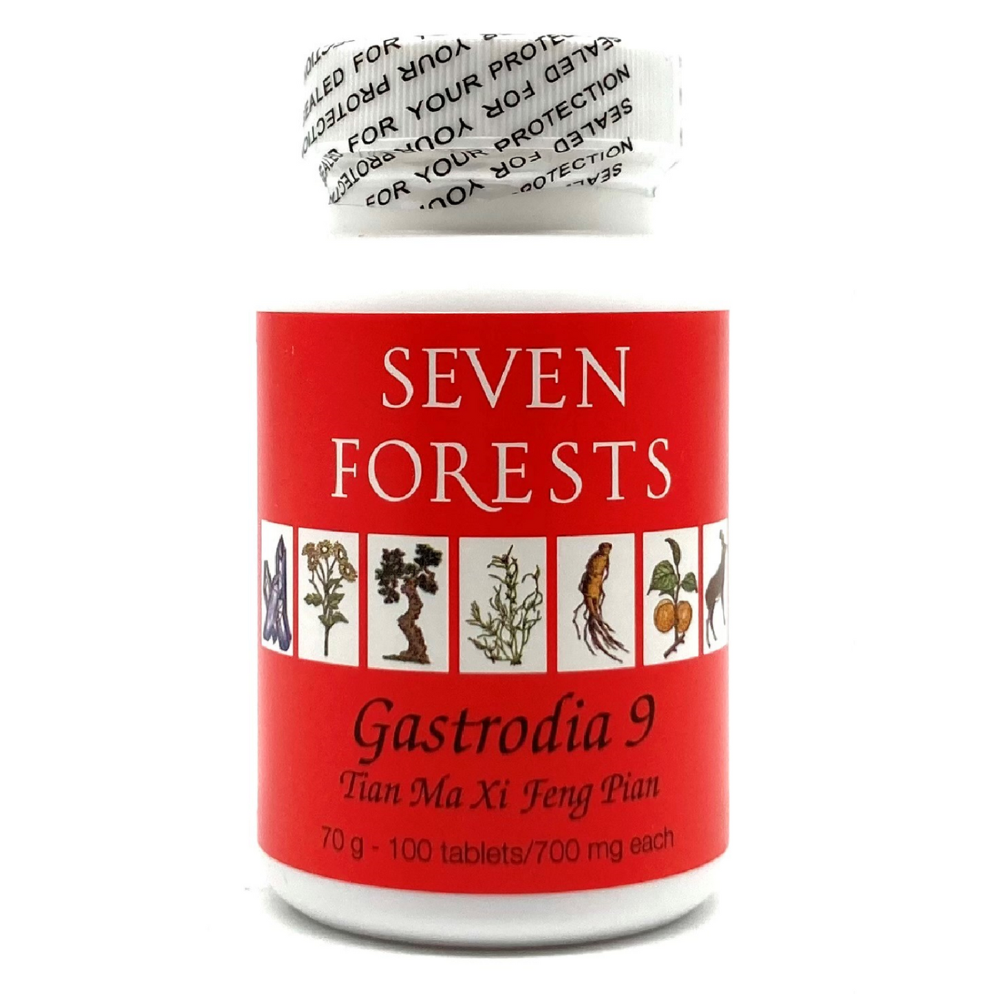 Gastrodia 9