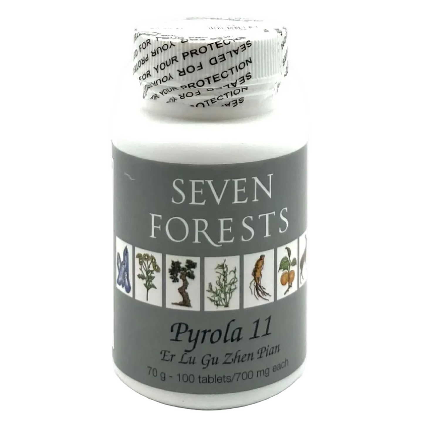 Pyrola 11