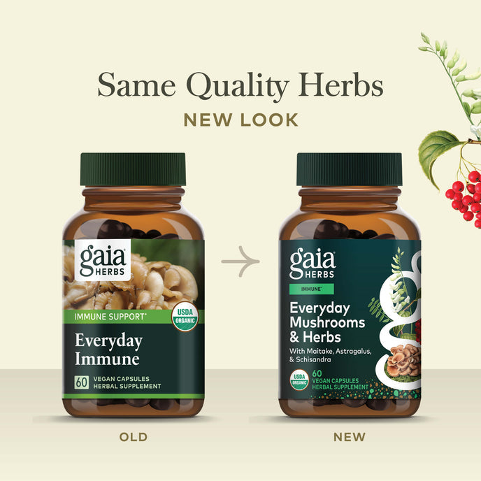 Mushrooms + Herbs Everyday Immune
