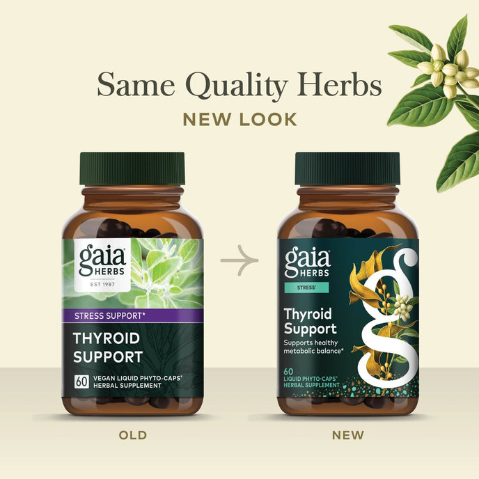 Thyroid Support