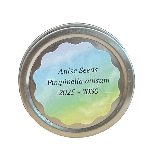 Sonoran University Garden Planting Seeds