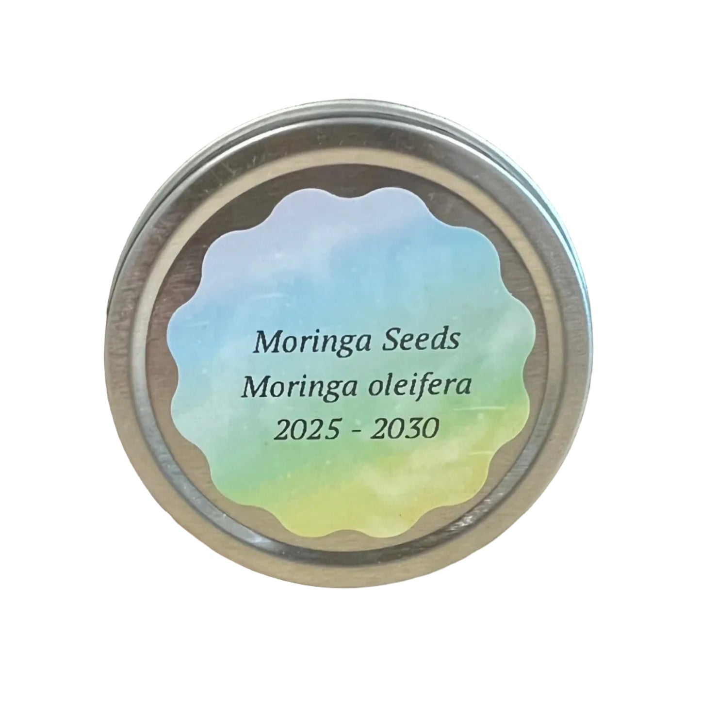 Sonoran University Garden Planting Seeds