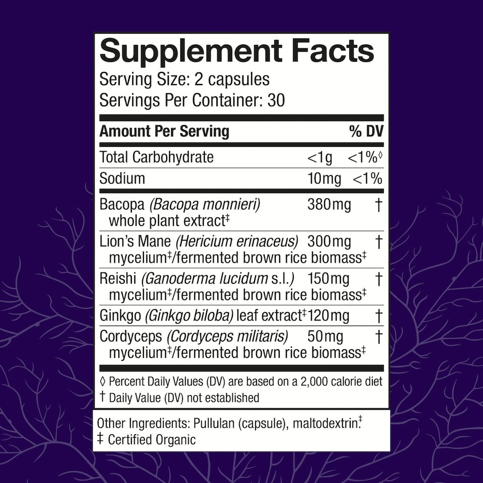 MycoBotanicals Brain
