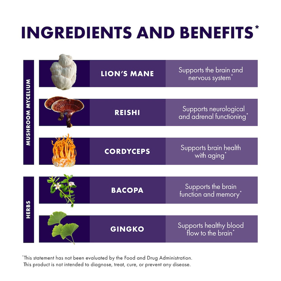 MycoBotanicals Brain
