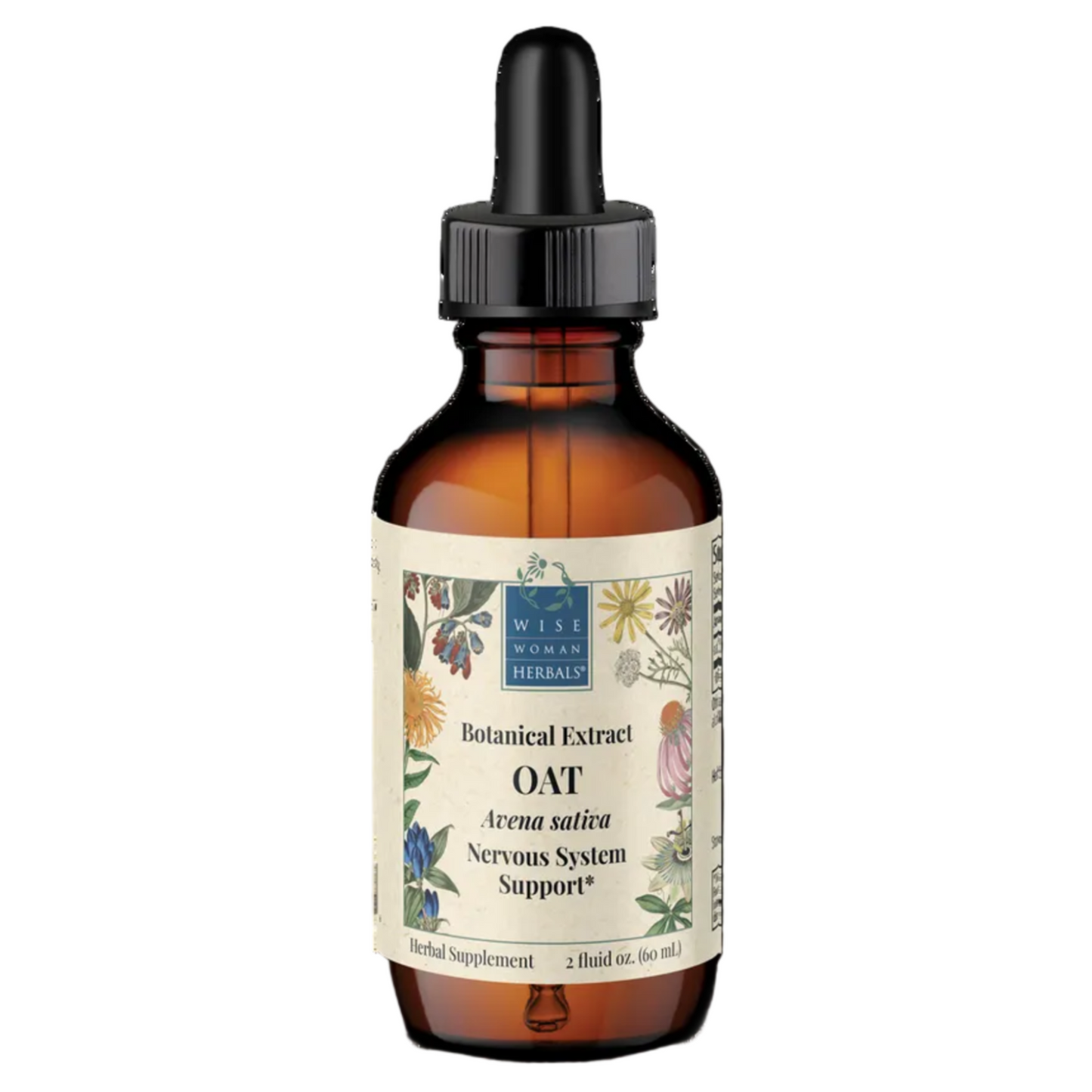 Avena sativa / Oats