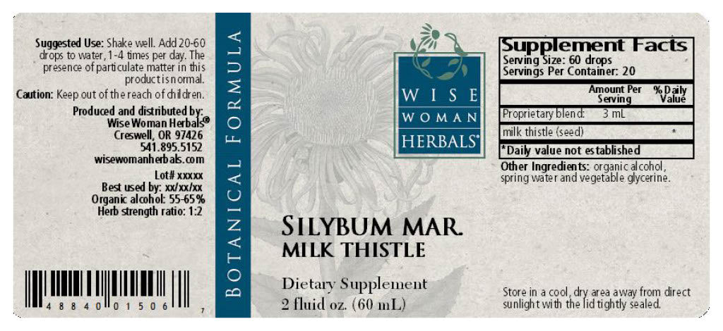 Silybum marianum / Milk Thistle