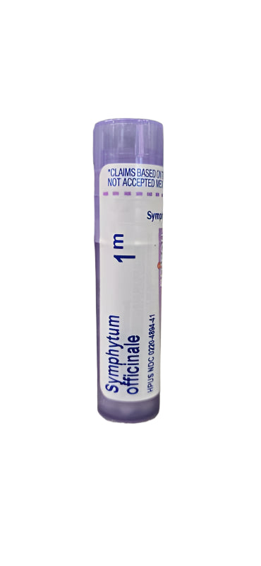 Symphytum Officinale 1m