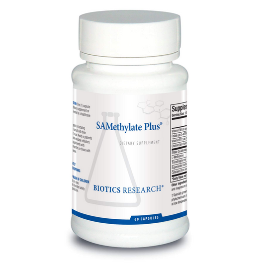 SAMethylate Plus