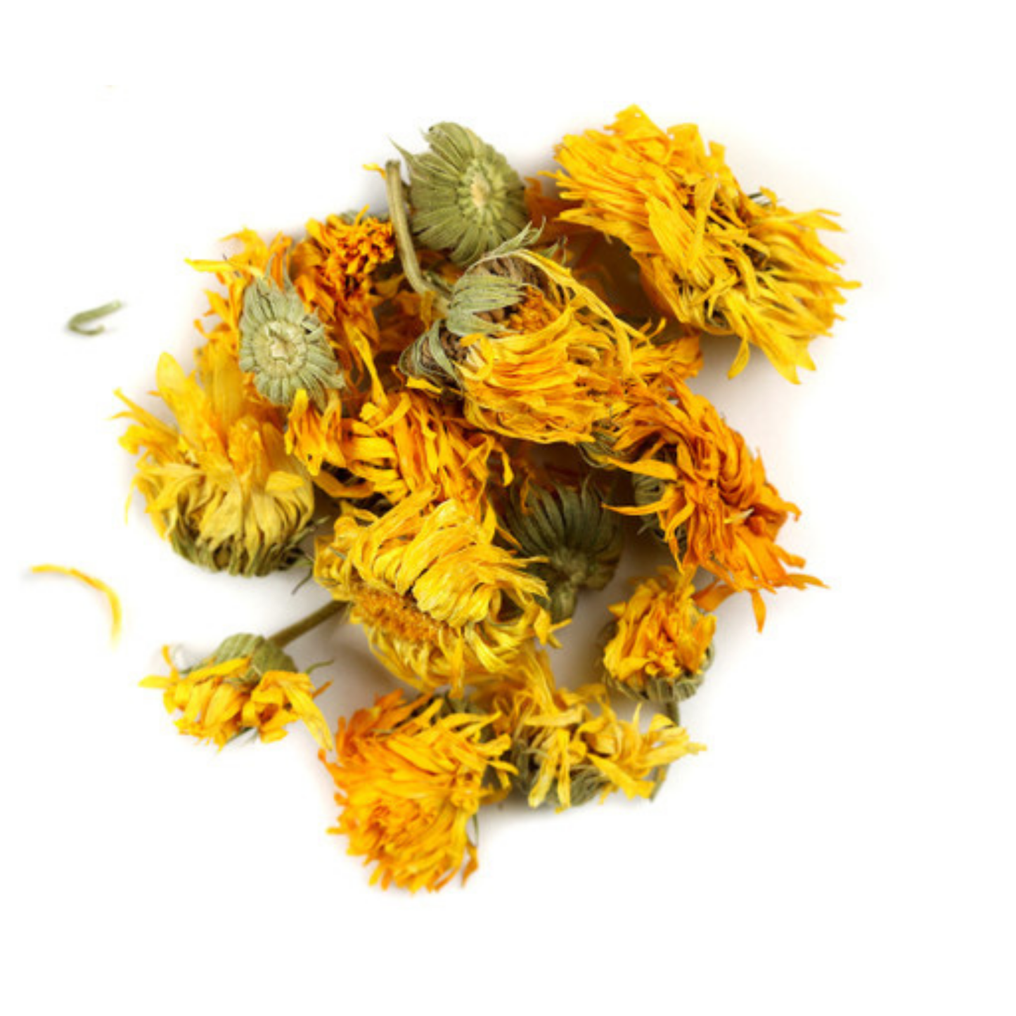 Calendula Officinalis Flower