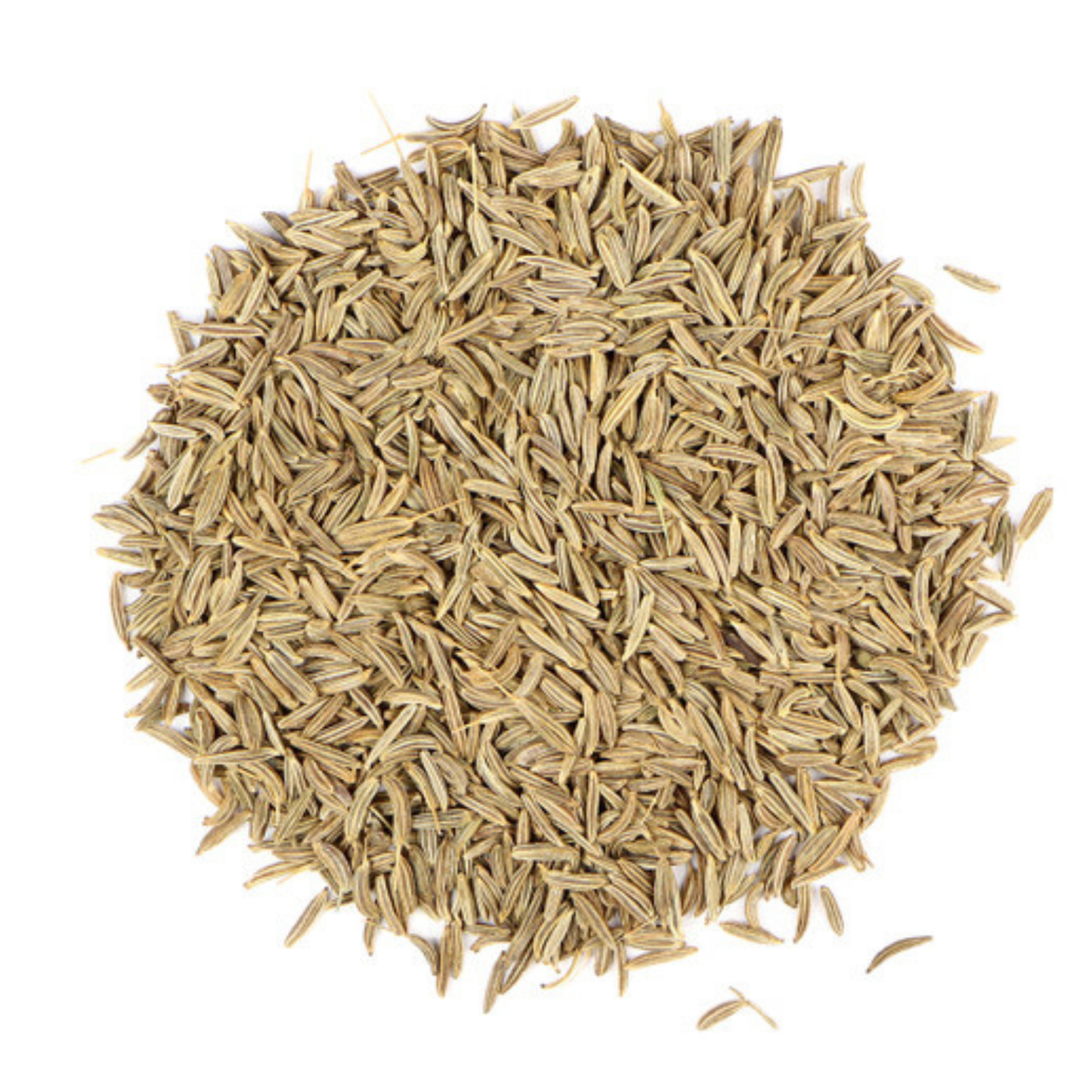 Carum carvi / Caraway Seed Whole