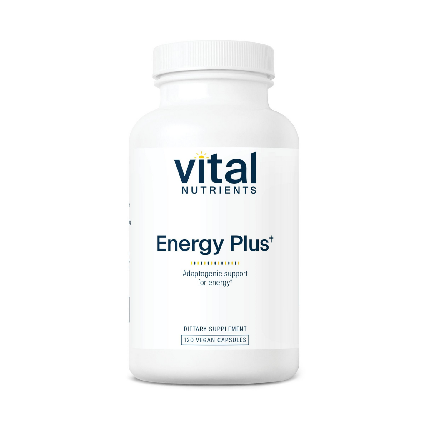 Energy Plus