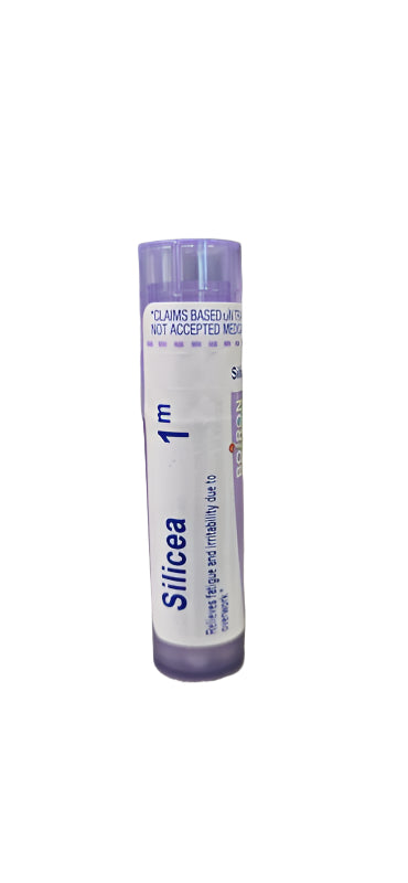 Silicea 1m