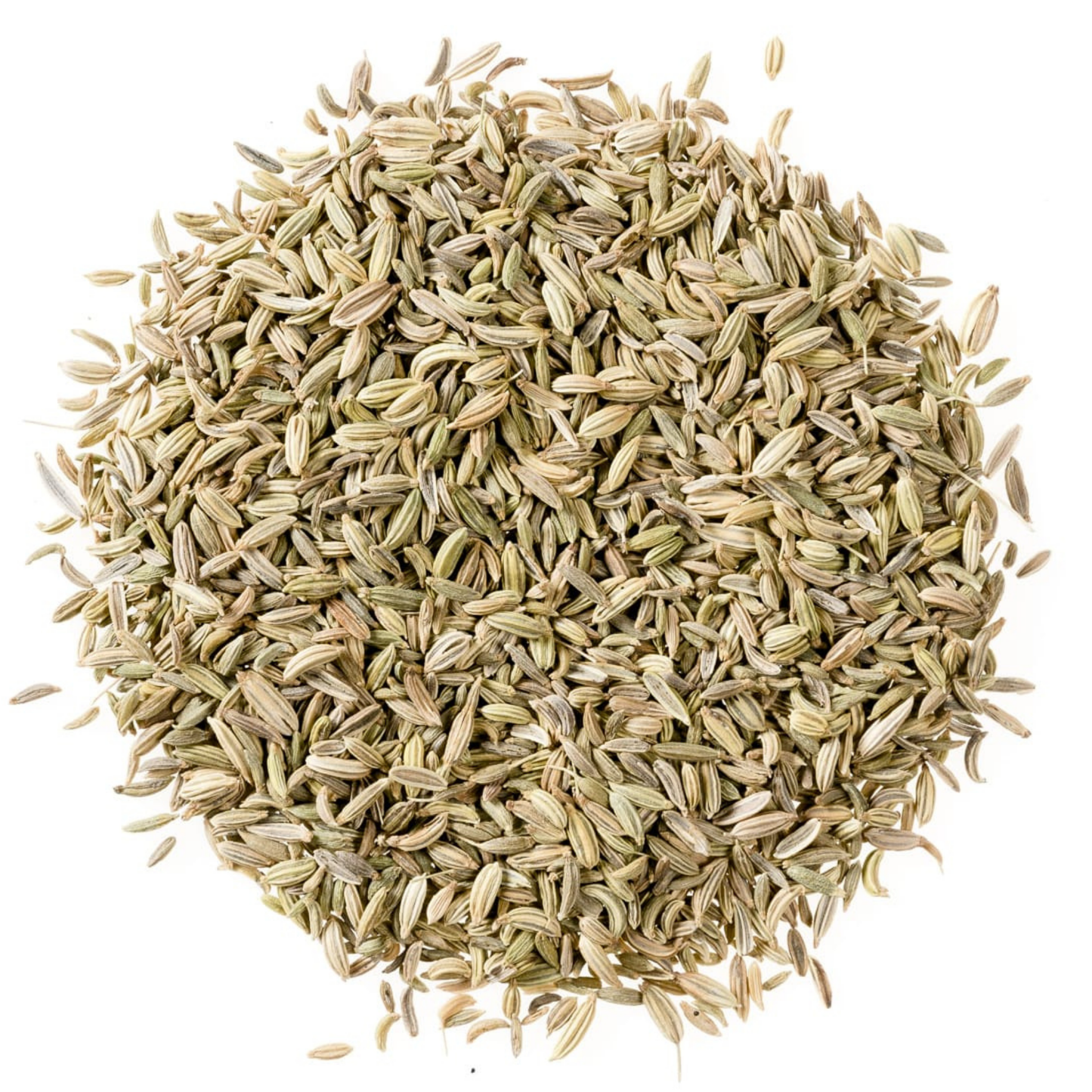 Foeniculum vulgare / Fennel Seed Whole