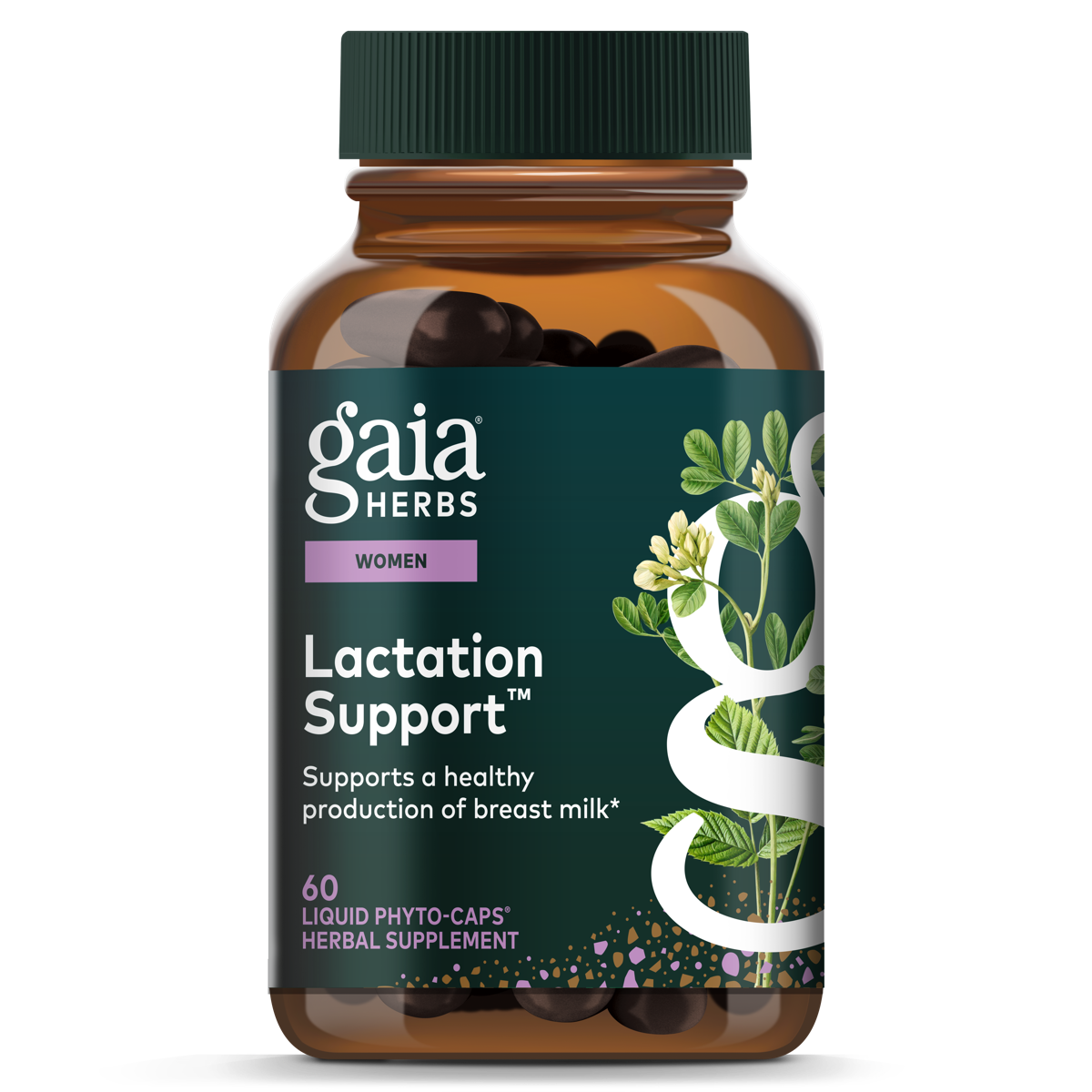 Lactation Support