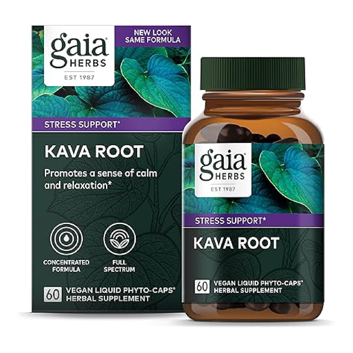 Kava Kava