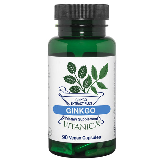 Ginkgo