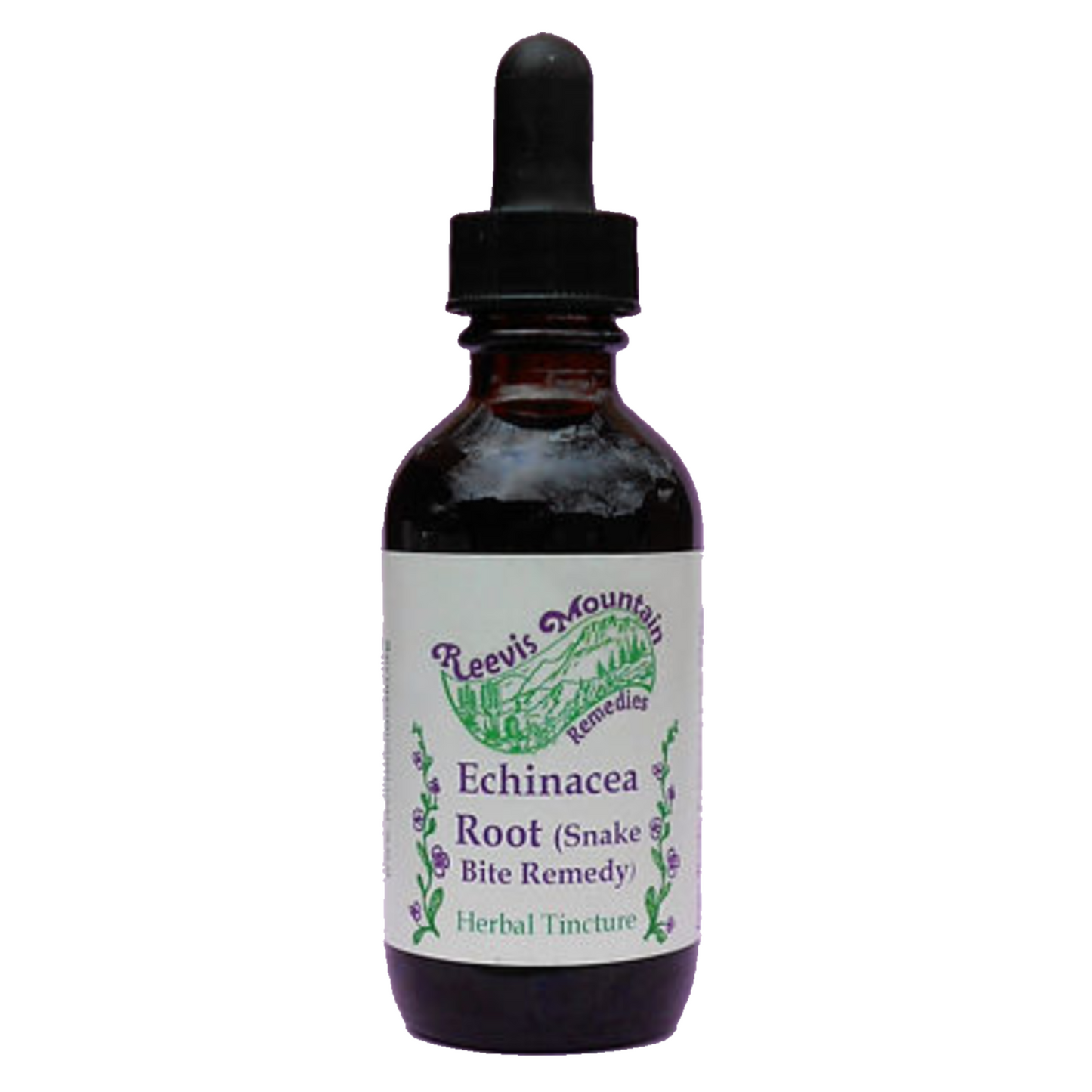 Echinacea Snake Bite Remedy