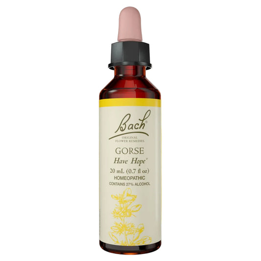 Bach Flower Gorse